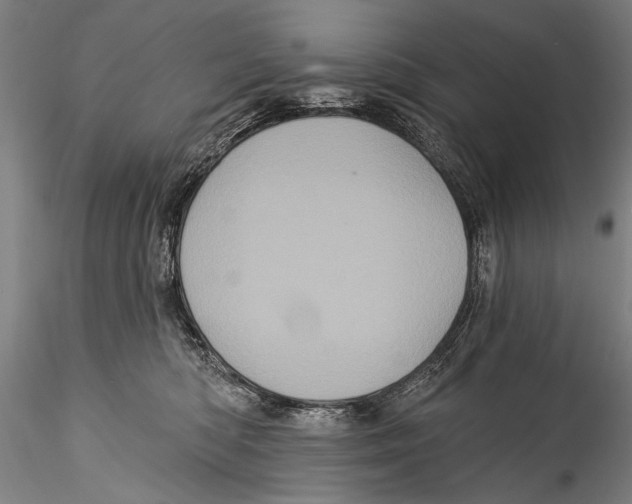 X0000115320422200911301603