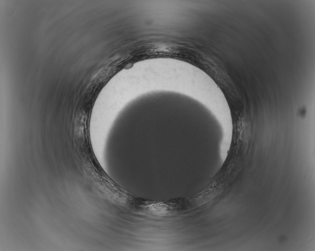 X0000115320423200911301603