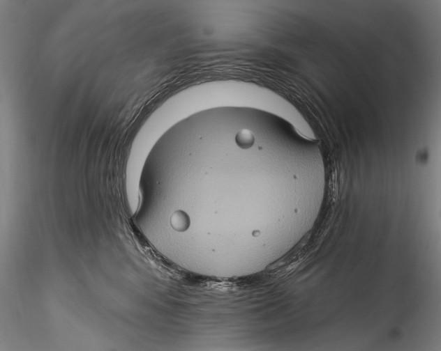 X0000115320424200911301603