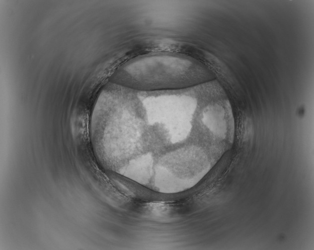 X0000115320425200911301603