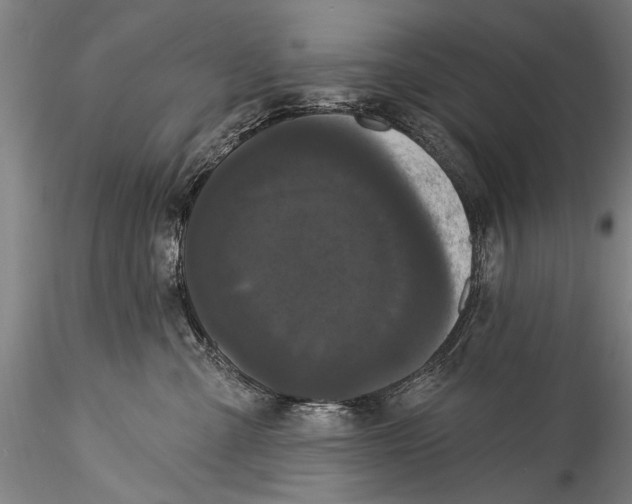 X0000115320427200911301603