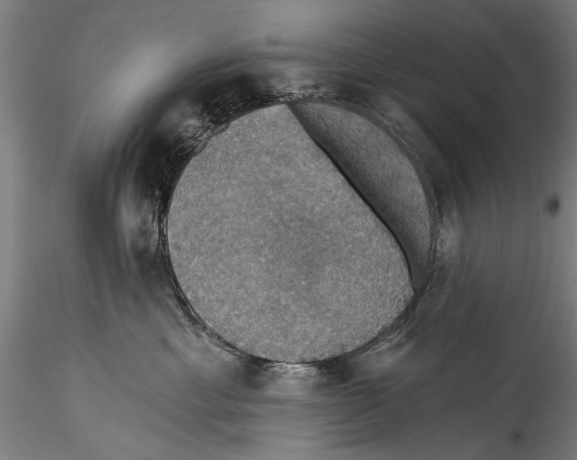 X0000115320429200911301603