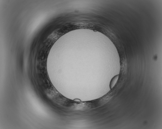 X0000115320430200911301602