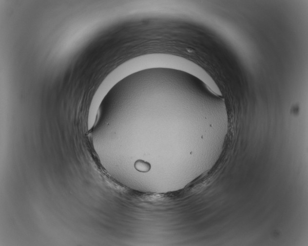 X0000115320431200911301602