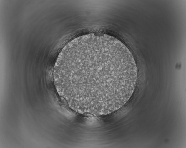 X0000115320432200911301602