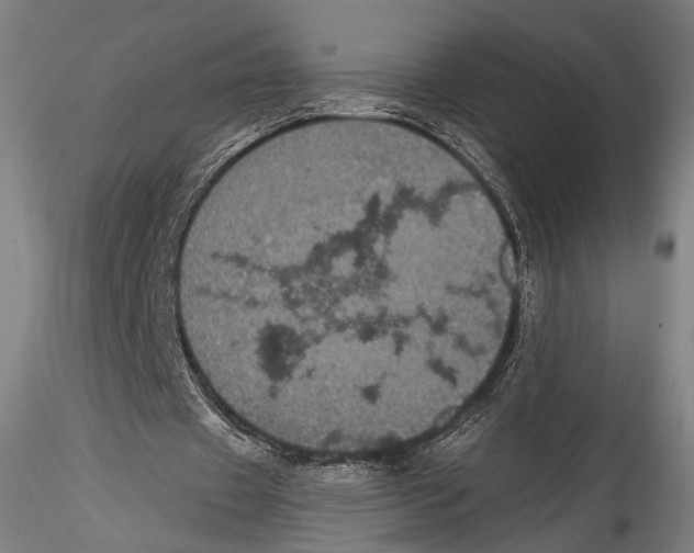 X0000115320433200911301602