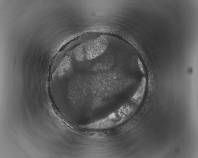 X0000115320434200911301602