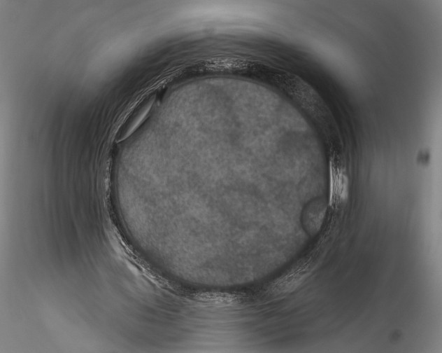 X0000115320435200911301602