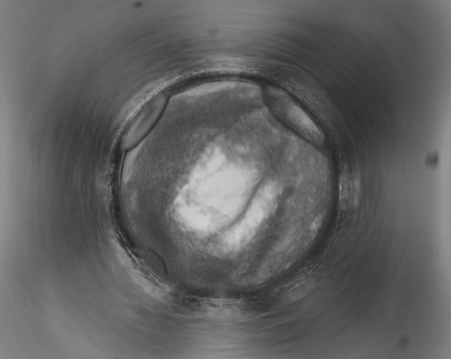 X0000115320436200911301602