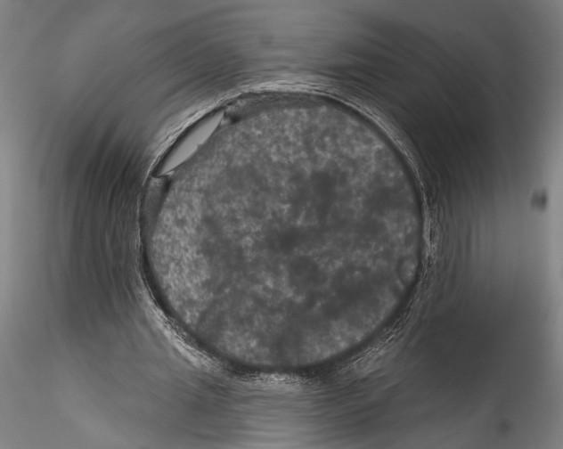 X0000115320437200911301602