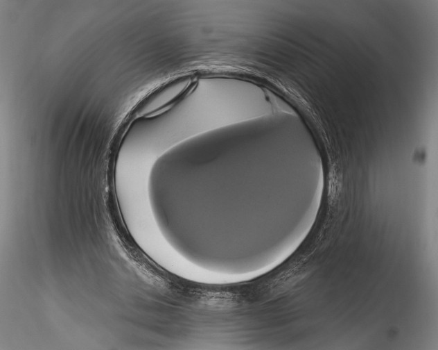 X0000115320438200911301602