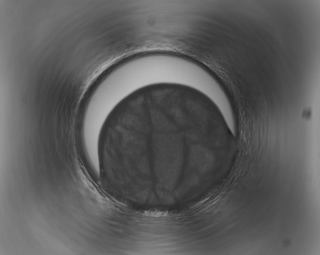 X0000115320440200911301602