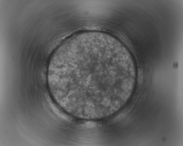 X0000115320441200911301602