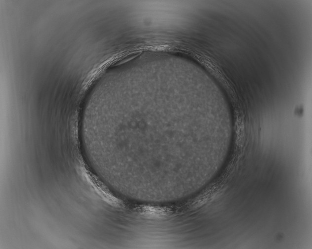 X0000115320442200911301602