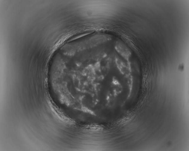 X0000115320443200911301602