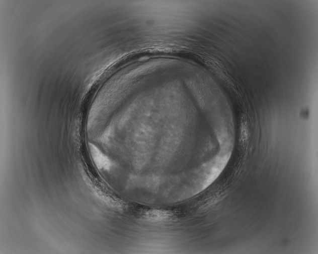 X0000115320444200911301602