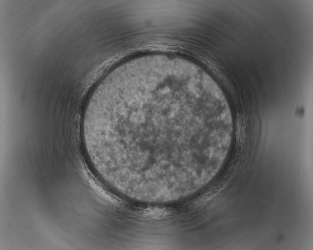 X0000115320445200911301602