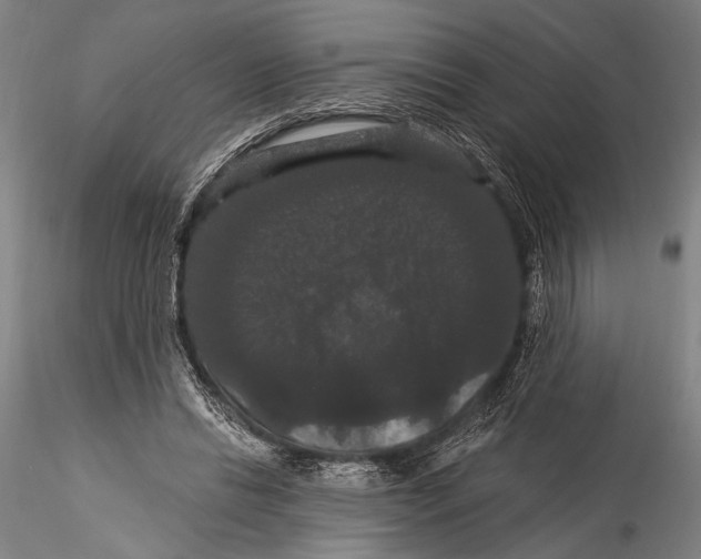 X0000115320446200911301602