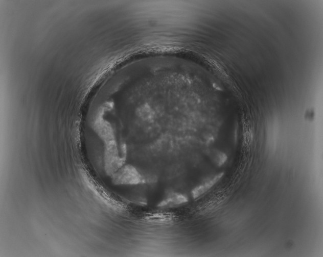 X0000115320447200911301602