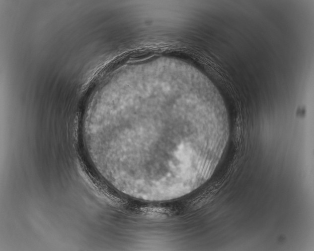 X0000115320448200911301602