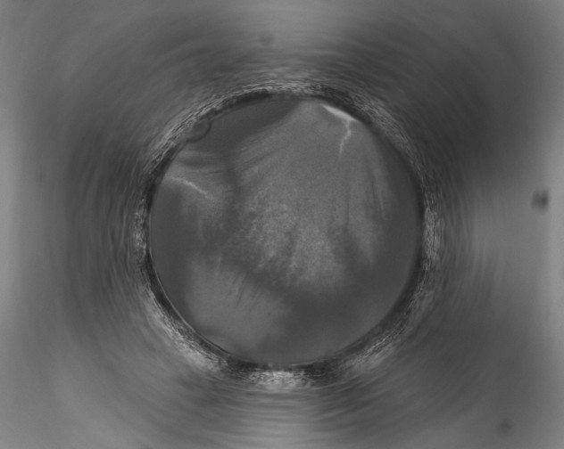 X0000115320449200911301602