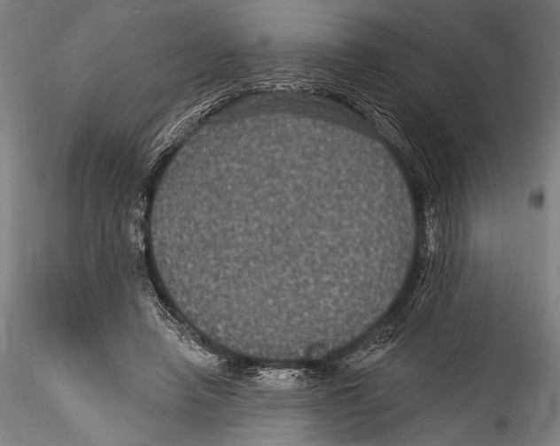 X0000115320450200911301602