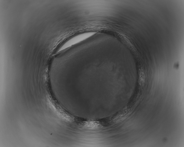 X0000115320451200911301602