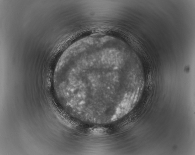 X0000115320452200911301602