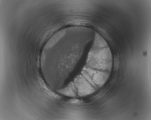 X0000115320453200911301602