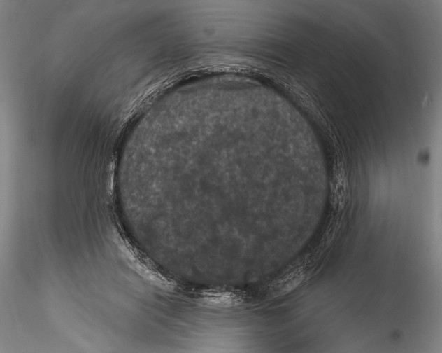 X0000115320454200911301602