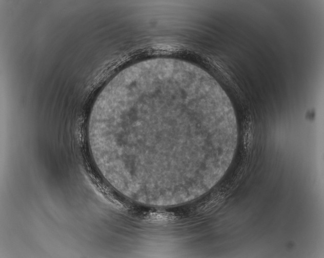 X0000115320455200911301602