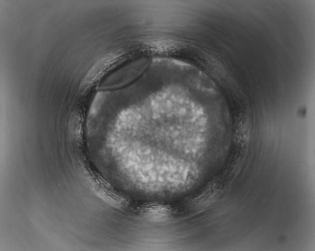 X0000115320456200911301602