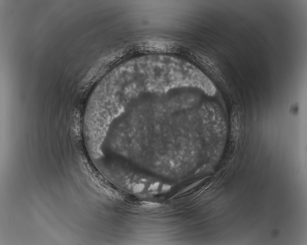 X0000115320457200911301602