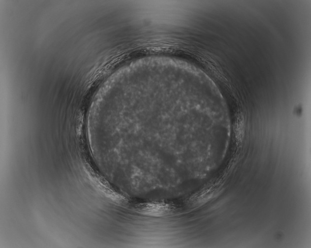 X0000115320458200911301602