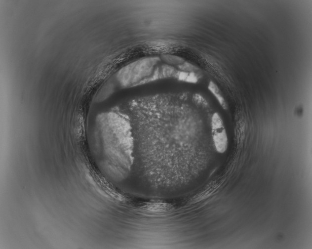 X0000115320459200911301602