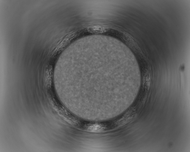 X0000115320460200911301602