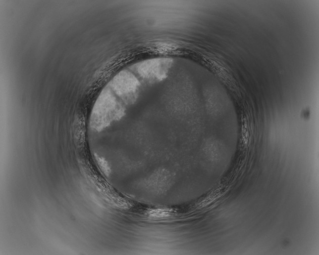 X0000115320461200911301602