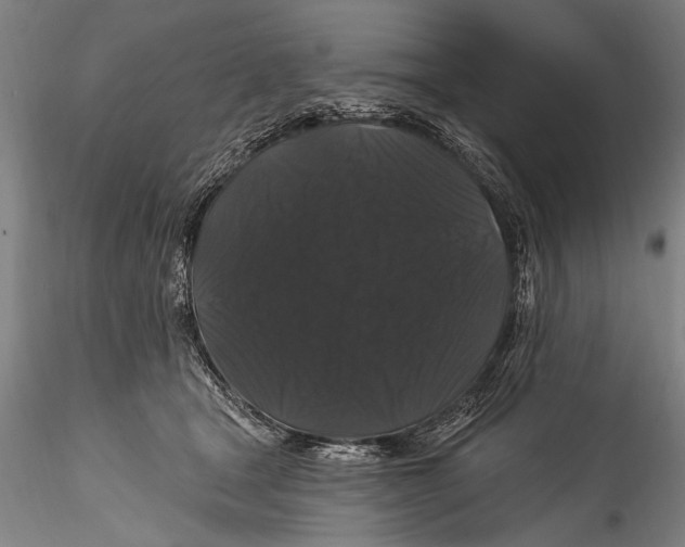 X0000115320465200911301602