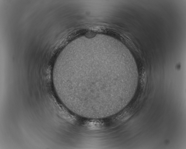 X0000115320466200911301602