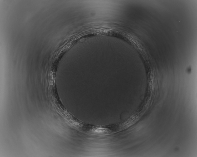 X0000115320467200911301602