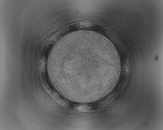 X0000115320468200911301602