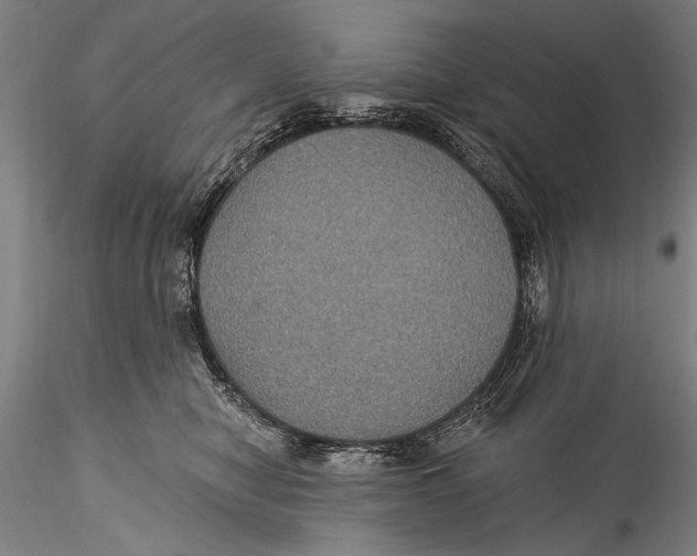 X0000115320470200911301602