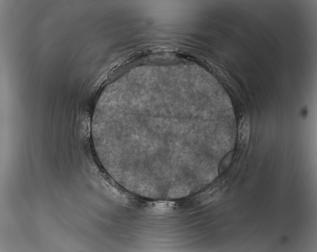 X0000115320474200911301602