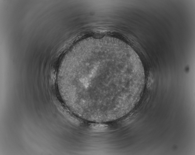 X0000115320476200911301602