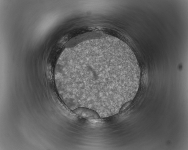 X0000115320477200911301602