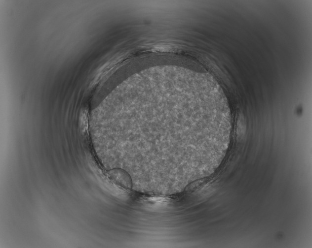 X0000115320478200911301602