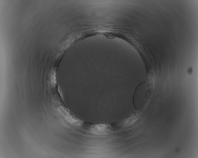 X0000115320479200911301602