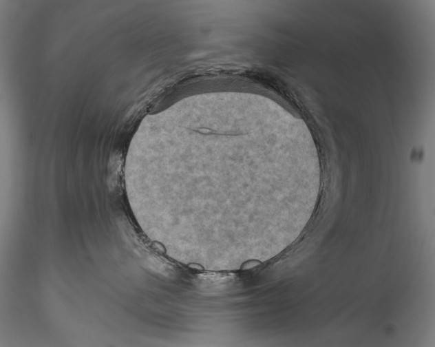 X0000115320480200911301602