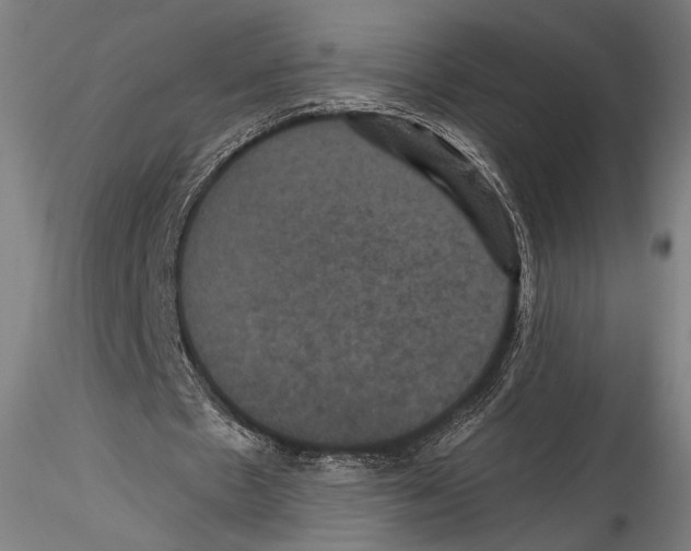 X0000115320481200911301602