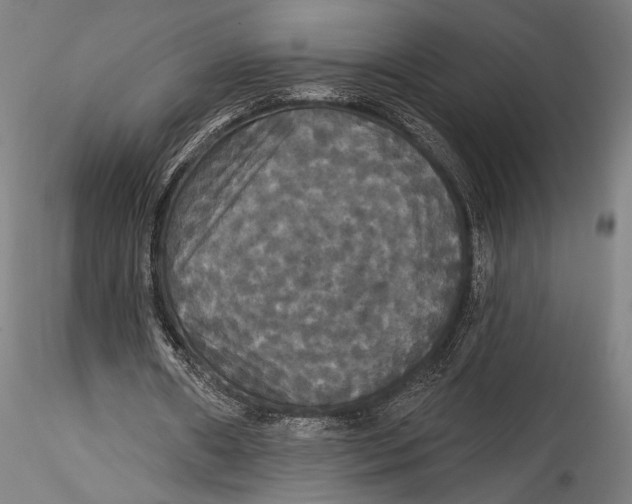 X0000115320482200911301602